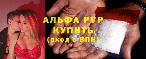 крисы Баксан