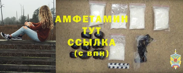 крисы Баксан