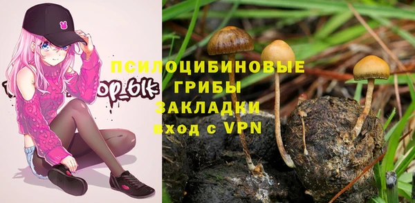 ECSTASY Пестово