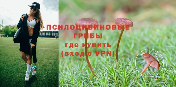 крисы Баксан